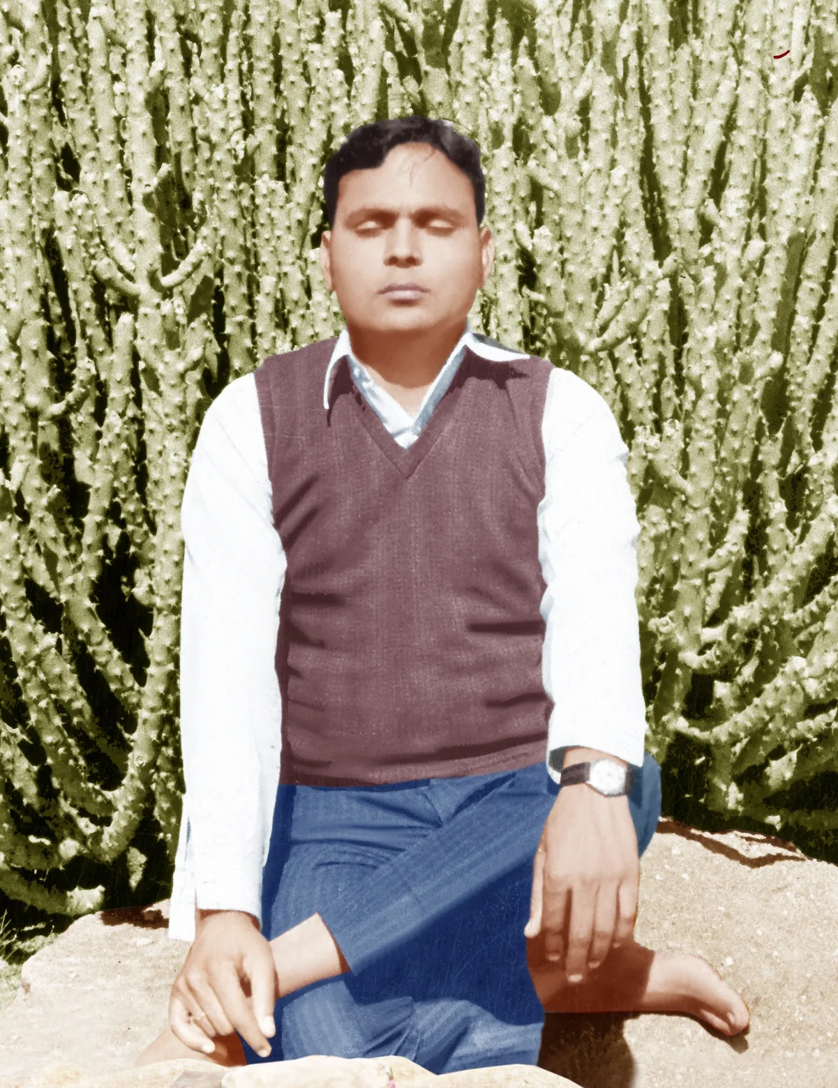 ध्यानमग्न भैया जी